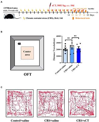 Chronic salmon calcitonin exerts an antidepressant effect via modulating the p38 MAPK signaling pathway